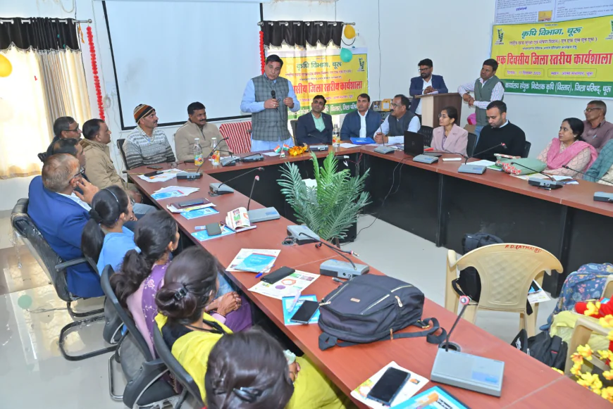 किसान उन्नत किस्म के बाजरें की बुवाई करें, जिससे उत्पादन में वृद्धि हो सके-सहारण