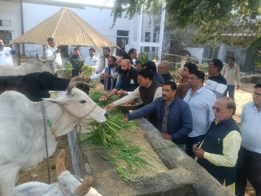 गौ सेवा एक महान एवं पुण्य कार्य है  जो हमारी भारतीय संस्कृति  परंपरा और आस्था का अभिन्न अंग है 