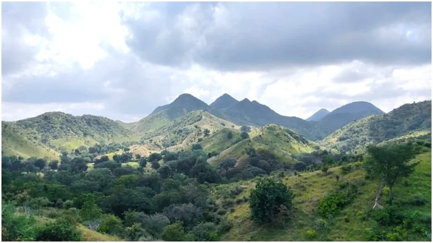 अरावली को लेकर पीएम मोदी को लिखा पत्र